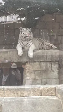 東武動物公園に投稿された画像（2026/5/3）