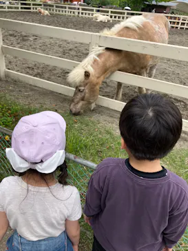 こども動物自然公園（埼玉県公園緑地協会）に投稿された画像（2026/5/3）