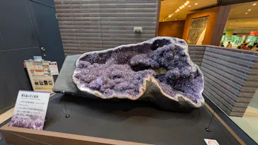 ミュージアムパーク茨城県自然博物館に投稿された画像（2026/5/3）