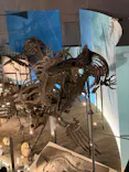 福井県立恐竜博物館に投稿された画像（2026/5/3）