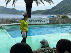 あわしまマリンパークに投稿された画像（2026/5/3）