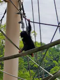 名古屋市東山動植物園に投稿された画像（2026/5/3）