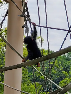 名古屋市東山動植物園に投稿された画像（2026/5/3）