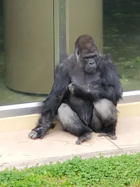 名古屋市東山動植物園に投稿された画像（2026/5/3）