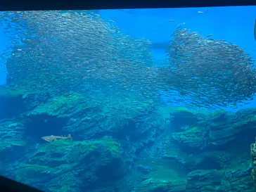 仙台うみの杜水族館に投稿された画像（2026/5/3）