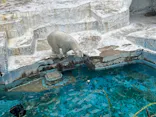 天王寺動物園に投稿された画像（2026/5/3）