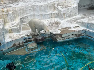天王寺動物園に投稿された画像（2026/5/3）