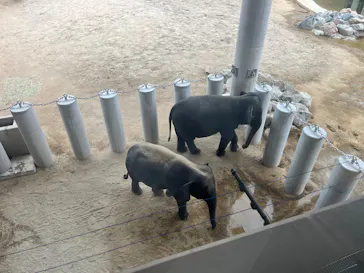 天王寺動物園に投稿された画像（2026/5/3）