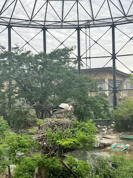 天王寺動物園に投稿された画像（2026/5/3）
