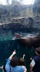 環境水族館アクアマリンふくしまに投稿された画像（2026/5/3）