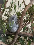 多摩動物公園に投稿された画像（2026/5/3）