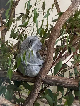 多摩動物公園に投稿された画像（2026/5/3）