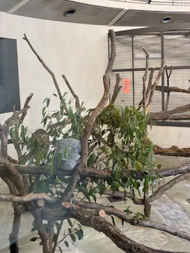 多摩動物公園に投稿された画像（2026/5/3）
