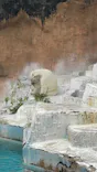 天王寺動物園に投稿された画像（2026/5/3）