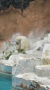 天王寺動物園に投稿された画像（2026/5/3）