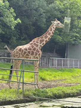 名古屋市東山動植物園に投稿された画像（2026/5/3）