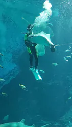 マリンワールド海の中道に投稿された画像（2026/5/3）