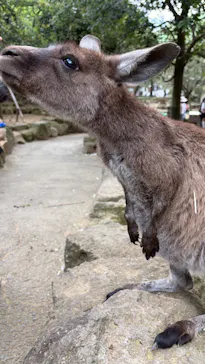 伊豆シャボテン動物公園に投稿された画像（2026/5/3）