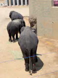天王寺動物園に投稿された画像（2026/5/3）