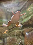 名古屋市東山動植物園に投稿された画像（2026/5/3）