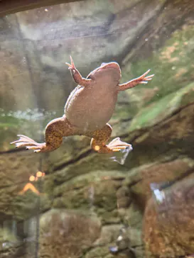 名古屋市東山動植物園に投稿された画像（2026/5/3）