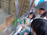 世界淡水魚園水族館　アクア・トトぎふに投稿された画像（2026/5/3）