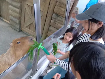世界淡水魚園水族館　アクア・トトぎふに投稿された画像（2026/5/3）
