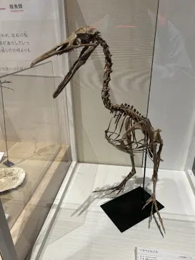 特別展「鳥 ～ゲノム解析が解き明かす新しい鳥類の系統～」に投稿された画像（2026/5/3）