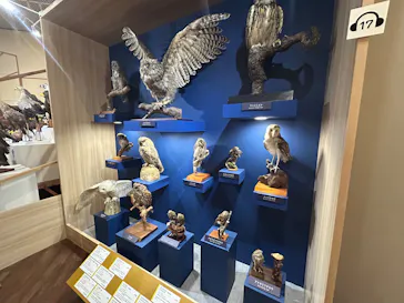 特別展「鳥 ～ゲノム解析が解き明かす新しい鳥類の系統～」に投稿された画像（2026/5/3）