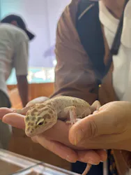 いきもの探検隊上尾に投稿された画像（2026/5/3）