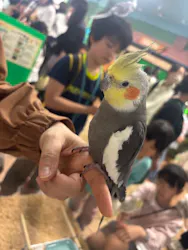 いきもの探検隊上尾に投稿された画像（2026/5/3）