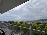 小田原城に投稿された画像（2026/5/3）