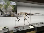 福井県立恐竜博物館に投稿された画像（2026/5/3）