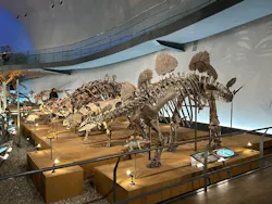 福井県立恐竜博物館に投稿された画像（2026/5/3）