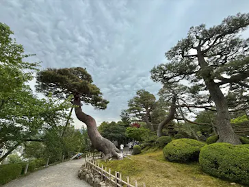 兼六園に投稿された画像（2026/5/3）
