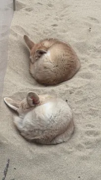 環境水族館アクアマリンふくしまに投稿された画像（2026/5/3）