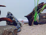 サンシャイン水族館に投稿された画像（2026/5/3）