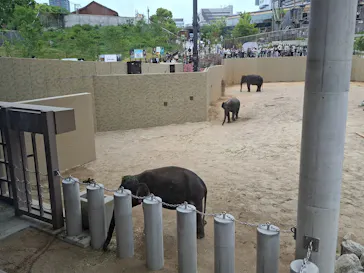 天王寺動物園に投稿された画像（2026/5/3）