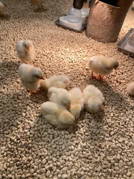 Moff animal cafe イオンモール新利府店に投稿された画像（2026/5/3）