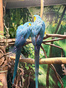 世界淡水魚園水族館　アクア・トトぎふに投稿された画像（2026/5/3）