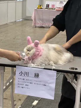 Pet博2026 幕張に投稿された画像（2026/5/3）