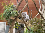 こども動物自然公園（埼玉県公園緑地協会）に投稿された画像（2026/5/3）