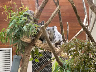 こども動物自然公園（埼玉県公園緑地協会）に投稿された画像（2026/5/3）