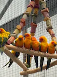 掛川花鳥園に投稿された画像（2026/5/3）