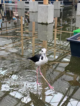 掛川花鳥園に投稿された画像（2026/5/3）