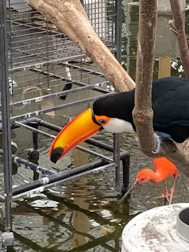 掛川花鳥園に投稿された画像（2026/5/3）
