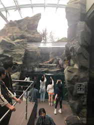 環境水族館アクアマリンふくしまに投稿された画像（2026/5/3）