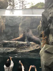 環境水族館アクアマリンふくしまに投稿された画像（2026/5/3）