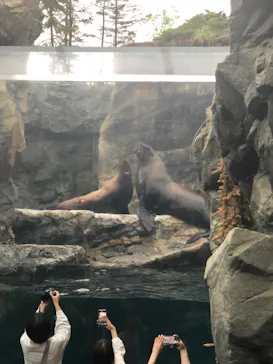 環境水族館アクアマリンふくしまに投稿された画像（2026/5/3）