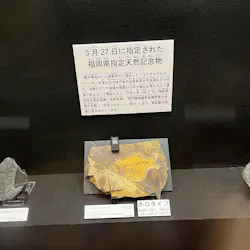 北九州市立自然史・歴史博物館（いのちのたび博物館）に投稿された画像（2026/5/3）
